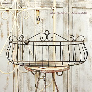 K[fjOG ACA nMO AeB[NoRj[ o[h`[t Ǌ|v^[