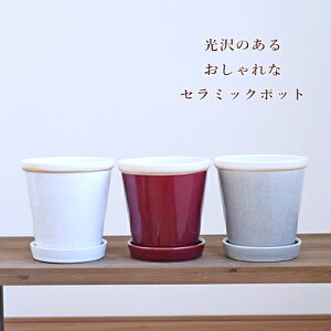 K[fjOG  픫 i` Z~bN ObV[|bg LTCY