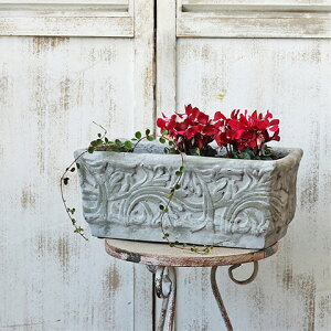 K[fjOG AeB[N  AxXN Ngv^[ LTCY