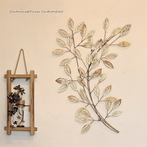 CeAG EH[fR ACA S[h[tu` Ǌ|