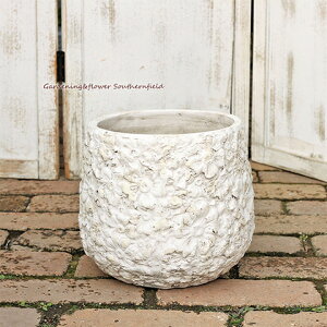 K[fjOG i`AeB[N 픫 t[[t|bg