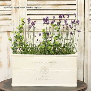 K[fjOG  OXt@Co[ {k[I[uO{bNX MTCY