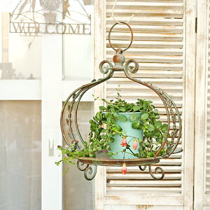 CeAG AeB[N ACA[t X^hg[