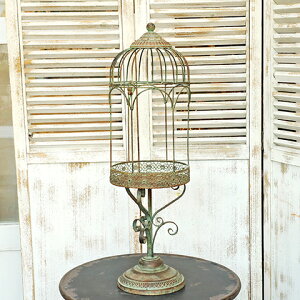 K[fjOG AeB[N ACA  Ff X^hK[z