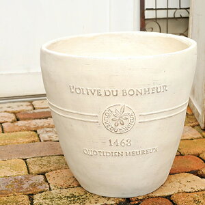 K[fjOG  OXt@Co[ {k[I[uO M