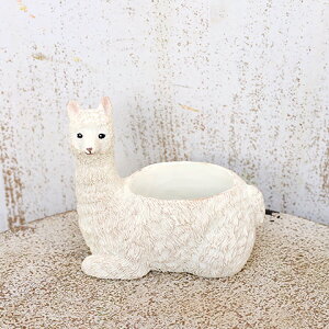 K[fjOG ~jv^[ TX[ ApJ|bg M