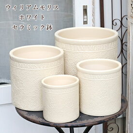 ガーデニング雑貨 陶器鉢 ウィリアムモリス マリーゴールド ホワイト LLサイズ