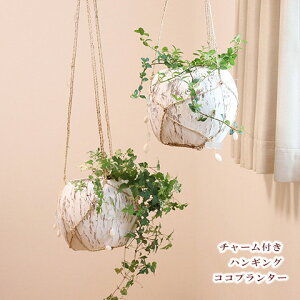 K[fjOG i` `[t nMO RRv^[ white