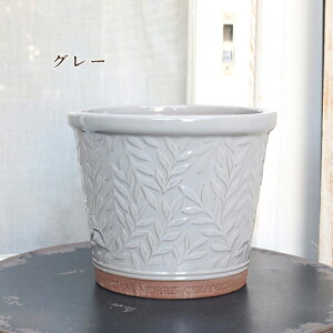 K[fjOG 픫 EBAX piX|bg MTCY zCgEO[EO[