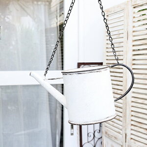 K[fjOG ACAnMO v[gW[ nO ubN^zCg