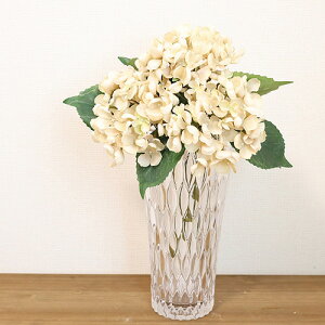 CeAG t[x[X Ȃԕr PVNX^~NE H30cm |J[{l[g