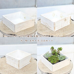 CeAG ؐ {bNX t[ SEMEL 3_Zbg