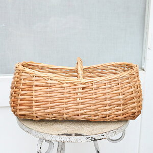 i̔ K[fjOG ؐ  nht ChoXPbg