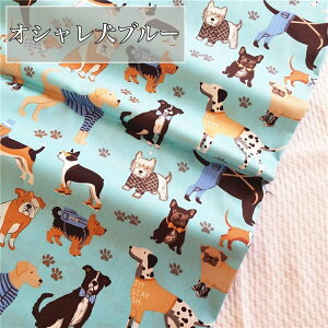 S13  L    | n |p 1m 160cm nhCh | ޗ z  ȃ| Rbg |GXe fB[X  ˂ ӂƂJo[ CeA GRobO ǂ