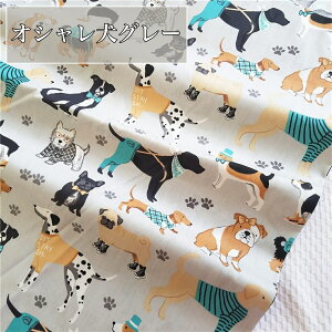 S13  L    | n |p 1m 160cm nhCh | ޗ z  ȃ| Rbg |GXe fB[X  ˂ ӂƂJo[ CeA GRobO ǂ