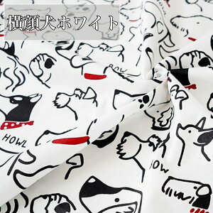 S13  L    | n |p 1m 160cm nhCh | ޗ z  ȃ| Rbg |GXe fB[X  ˂ ӂƂJo[ CeA GRobO ǂ