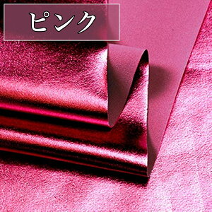 S13F XpfbNX n 1.45m×2m J[ z XpfbNXn nhCh ^bNJ[ | |p  ٖD DIY p[v CG[ O[ O[ sN bh zCg