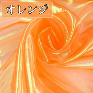 S11F I[ I[KW[ | n 3m×150cm J[  z yf n nhCh  Â VA[ Vv Te VtH    H  萻 萻 z[