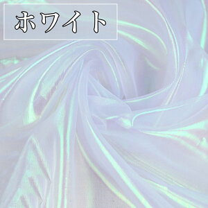 S11F I[ I[KW[ n 5m×150cm | z yf n J[  ٖD nhCh  Â VA[ Vv Te VtH    H  萻 萻 z