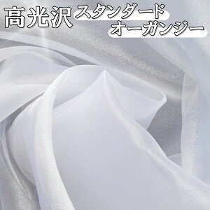 高光沢 オーガンジー 白 布 生地 軽い素材 無地 1〜10m×幅150cm 手芸 カラー 綺麗 きれい 可愛い かわいい オシャレ お洒落 シック 華やか シースルー 光沢感 高級感 洗濯可能 手洗い ファッショ