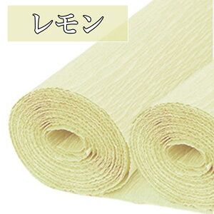 S18F | p N[vy[p[ PF 25cm×2.5m 2{Zbg N[v | |p nhCh DIY ɏՍ bsOy[p[ bsO Ntg   ޗ 쐬 bsO A[
