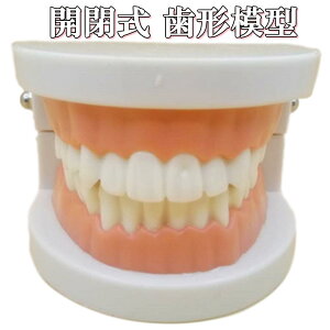 Ȗ͌^ ͌^ ^EsN Cvg ubW      wK p yz