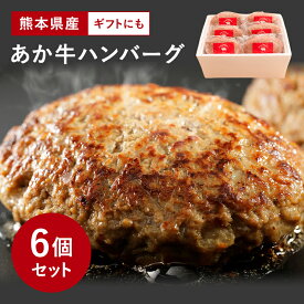 【熊本県産 あか牛 生ハンバーグ 150g × 6個】お中元 熨斗 赤牛 赤身肉 国産 和牛 レストラン 合挽 手ごね 無添加 ヘルシー のし 化粧箱 贈答 ギフト 御歳暮 お中元 父の日 冷凍 簡単 九州産 希少 あかうし 牛肉 産地直送 送料無料