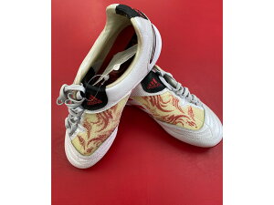 �������X�g1���A�f�B�_�XJr.�T�b�J�[�X�p�C�NPR AbsolionXHGJ�E�������Ə��L