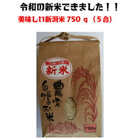 令和5年産 「こしいぶき」 750g 送料無料（送料込み） 美味しい 新米 小袋 新潟米 白米 750g（5合）「こしいぶき」 美味しい 新潟米 プチギフト 米 小袋 こしいぶき 白米 精米 安い お米 おこめ 米 750g コシヒカリではありません。 お試し米 こしいぶき