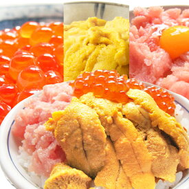 【お中元ギフト】海鮮丼 生ウニ100g、ネギトロ100g、イクラの醤油漬95gの福袋。手巻き寿司。海産物をプレゼントに海の幸。魚介 ワンランク上の贈り物(うに/ねぎとろ/いくら)に 手土産 送料無料 お返し 最強配送 ギフト 年中無休 即日発送