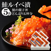 楽天市場】ルイベ漬け（サケ｜魚介類・水産加工品）：食品の通販 