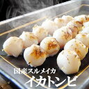 【お中元ギフト】石川県 能登 応援【イカトンビ】日本海で水揚げされた国産いかの 口ばし。海産物を贈り物（プレゼント）にお考えなら無添加の海の幸！【福袋】海鮮、魚介の食べ物 送料無料 手土産 お返し 最強配送 ギフト 年中無休 即日発送