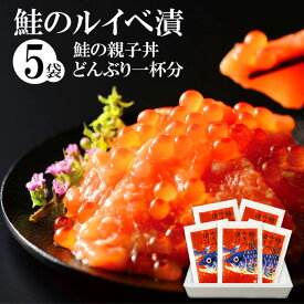 【年中無休 即日発送】鮭ルイべ漬 110g×5袋 10,500円 送料無料 サーモンの塩辛。鮭のルイベ漬け をご飯に乗せれば簡単鮭の親子丼。酒の肴(おつまみ)にも大人気!!石狩漬は贈り物(/プレゼント)としても喜ばれます 海鮮 最強配送 ギフト 年中無休 即日発送