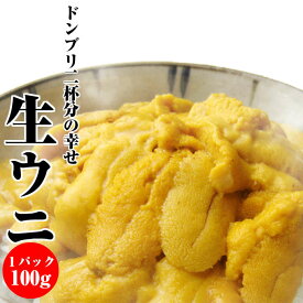 【冷凍 生ウニ 100g】 3,300円 料亭やお寿司屋さんプロが認めた雲丹！日にち・時間指定OK！雲丹 うに ウニ海鮮、魚介【贈り物 プレゼント 手土産 一人暮らし】お返し 年中無休 最強配送 ギフト 年中無休 即日発送