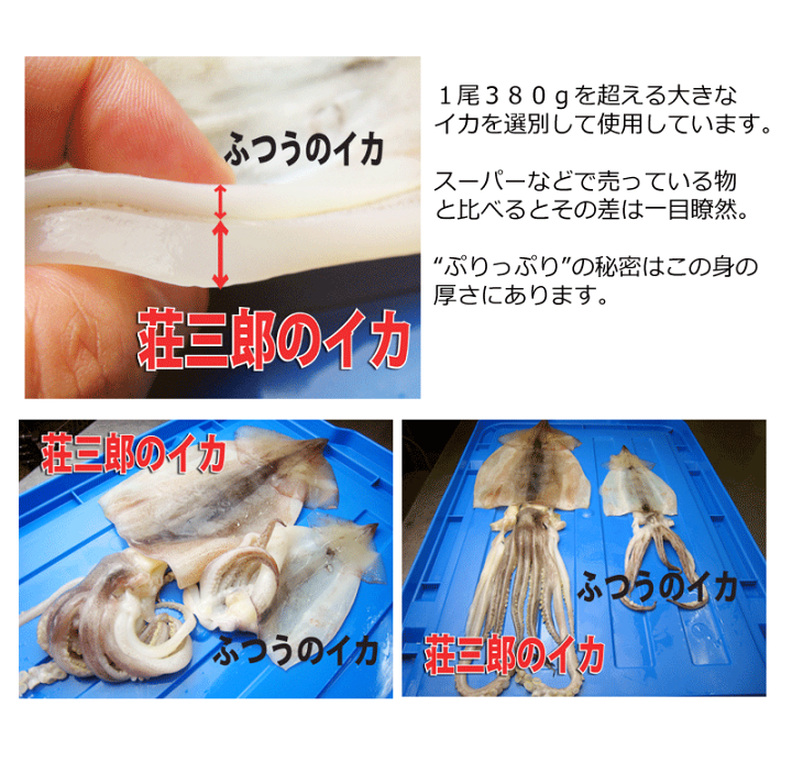いかやきページ 送料無料】”いかの七輪焼き” 約2kg カット焼きいか/焼きイカ