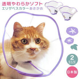 楽天市場 猫傷舐め防止用の通販