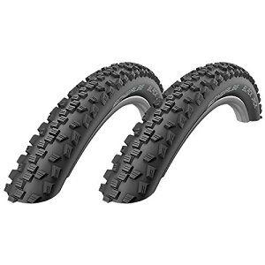 2�{�Z�b�g SCHWALBE(�V�������x) �u���b�N�W���b�N BLACK JACK 12x1.9 (47-203) �N�����`���[�^�C�� [���s�A���i]