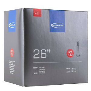SCHWALBE(Vx) yKiz26×3.5/4.8(t@bgoCN)p`[u  40mmou 13J-SV