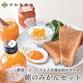 遅れてごめんね 父の日ギフト お中元 ギフト 御中元 食べ物 ギフト プレゼント 送料無料 詰め合わせ ゼリー 朝のみかんセットR ゼリー みかんジュース スムージー 内祝い お返し 出産祝い スイーツ 有田みかん 和歌山県 早和果樹園 産地直送