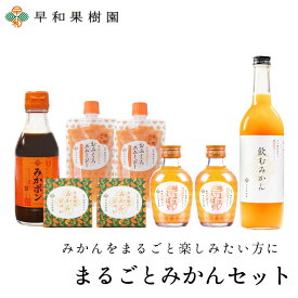 お歳暮 詰め合わせ 内祝い ギフト みかん 送料無料 まるごとみかんセット(N) 贈り物 みかんジュース ゼリー スムージー ポン酢 詰め合わせ 出産内祝い 御祝 早和果樹園