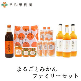 お中元 夏ギフト詰め合わせ ギフト 贈り物 詰め合わせ 内祝い 送料無料 まるごとみかんファミリーセット(N) みかんジュース 100％ ゼリー ポン酢 スムージー 和歌山 有田 早和果樹園 お供え お見舞い