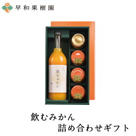 ジュース ギフト 贈り物 送料無料 詰め合わせ 飲むみかん詰め合わせギフト 内祝い みかんゼリー ゼリー ジャム みかんジュース 無添加 御祝 お見舞い 有田みかん 和歌山県 早和果樹園