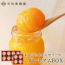 バレンタイン 2026 ギフト ホワイトデー お返し ギフト みかん ゼリー ギフト みかん まるごと 高級 プレゼント フル…