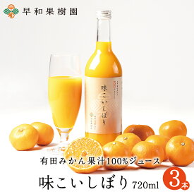 みかんジュース ストレート 100％ 高級 無添加 味こいしぼり 720ml×3本W みかんジュース 早和果樹園