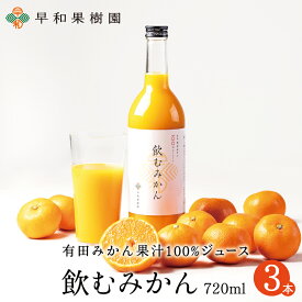 みかんジュース ストレート 飲むみかん 720ml×3本W 和歌山 果汁100% ジュース 有田 温州みかん 無添加 早和果樹園 ピーチ