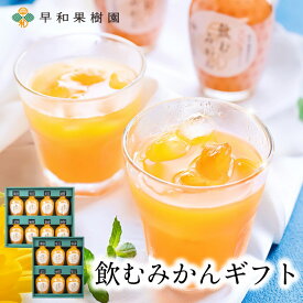 お中元 夏ギフト ジュースギフト 高級 詰め合わせ プレゼント みかんジュース ギフト フルーツジュース 無添加 果汁100% 内祝い お返し 手土産 飲むみかんギフト ストレート 子供 ドリンク 和歌山 有田 早和果樹園 御供え 3000円台 オレンジジュース 残暑見舞い 敬老の日