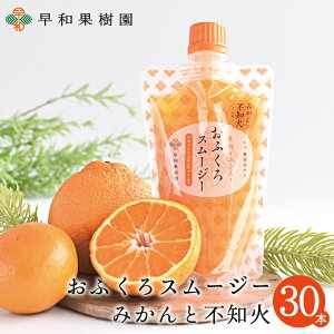 飲むゼリー おふくろスムージーみかんと不知火 170g×30本入 スムージー 有田みかん しらぬい ゼリー フルーツ シャーベットにも 和歌山 早和果樹園