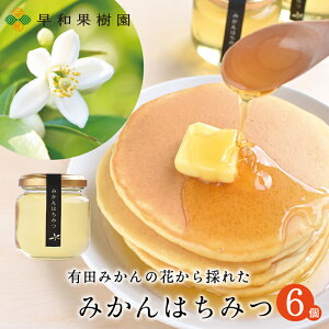 はちみつ 個包装 はちみつ メープルシロップの人気商品 通販 価格比較 価格 Com