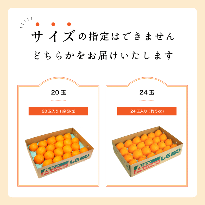 楽天市場】しらぬい（不知火）約5kg【20玉/24玉】送料無料 通称