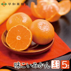 ݂ Lc݂ Ε ݂~j 2STCY 5kg  Y a̎R Yn aʎ